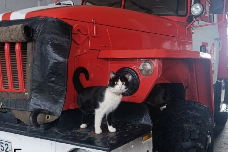 ГУ МЧС России по Нижегородской области