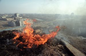 Охота на «Беркута»: как наши спецслужбы ликвидировали опасного украинского террориста