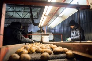 Пресс-служба Х5