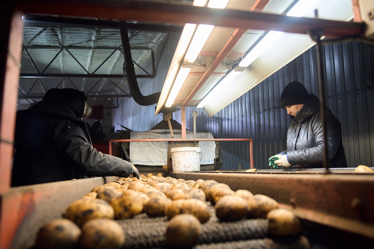 Пресс-служба Х5