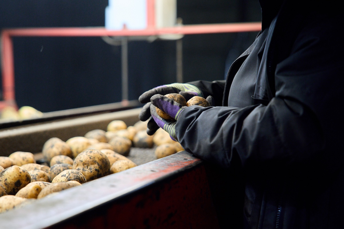 Пресс-служба Х5