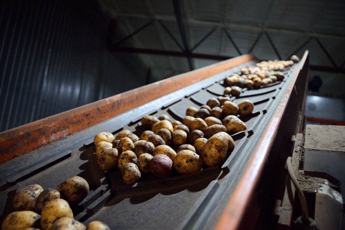 Пресс-служба Х5