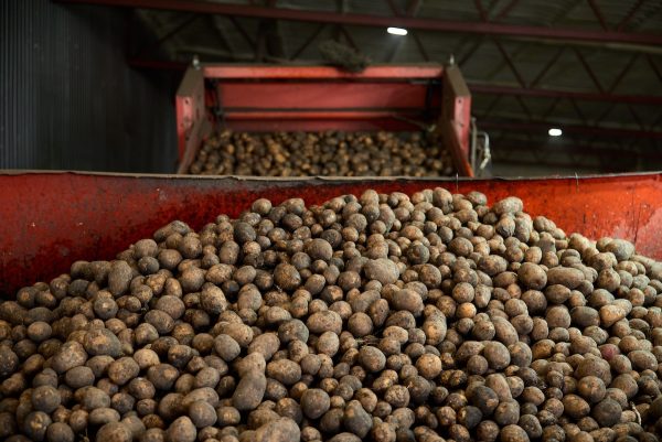 Агроагрегатор: от поля до тарелки