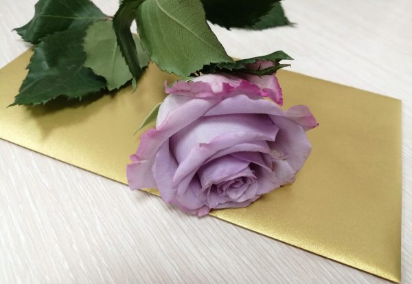 Нижегородцам назвали подарки, которые нельзя дарить коллегам на 8&nbsp;Марта