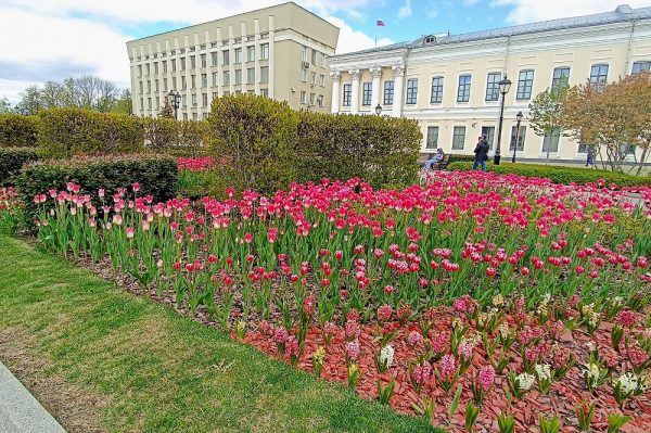 Нижегородцев ждут самые короткие майские праздники за 8&nbsp;лет