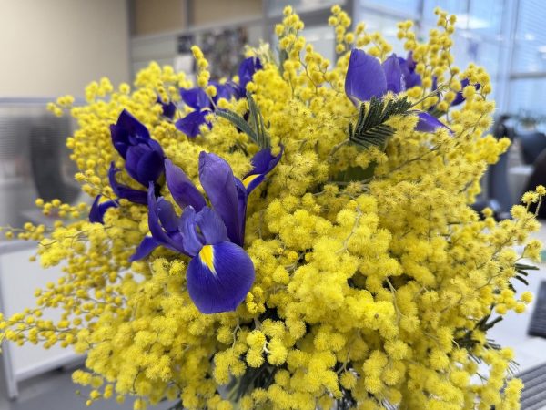 Нижегородская область вошла в топ‑5 регионов-романтиков