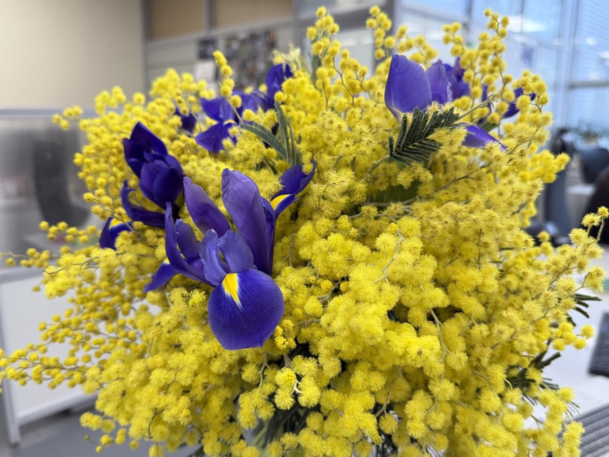 Нижегородская область вошла в топ‑5 регионов-романтиков