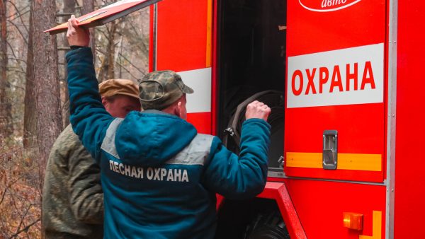 Нижегородская область присоединилась к акции «Останови огонь!»