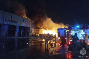 Крупный пожар произошел на территории автосервиса в Сормове