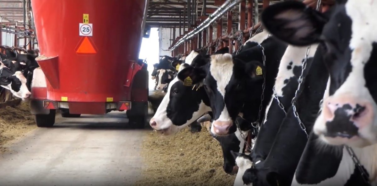 Нижегородская компания АПК вступила в федпроект «Производительность труда»