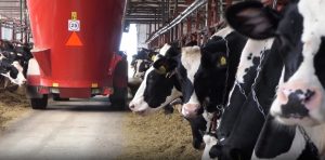 Нижегородская компания АПК вступила в федпроект «Производительность труда»