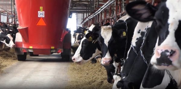 Нижегородская компания АПК вступила в федпроект «Производительность труда»