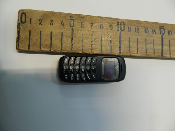 Заключенному нижегородского СИЗО пытались передать телефон в сушеном леще