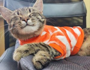 ГУ МЧС России по Нижегородской области