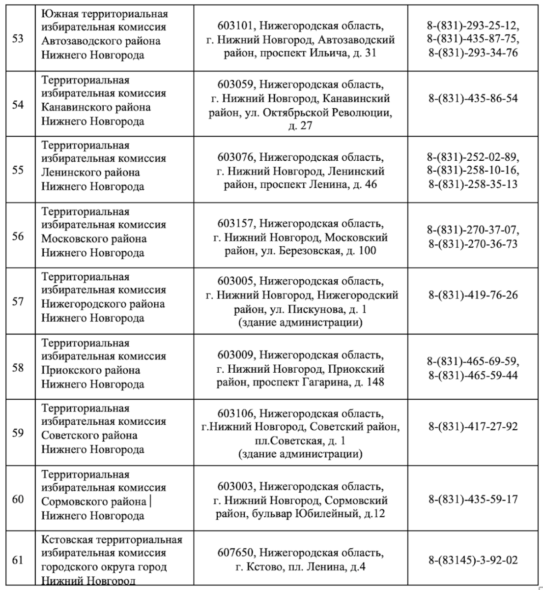 Фото: Избирательная комиссия Нижегородской области