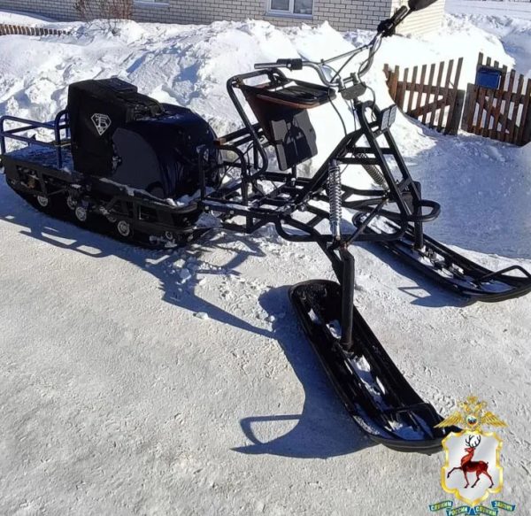 Двоим приятелям из Тоншаевского округа грозит срок за кражу «мотособаки»