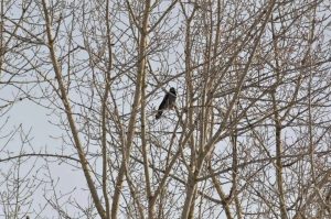 администрация Нижнего Новгорода