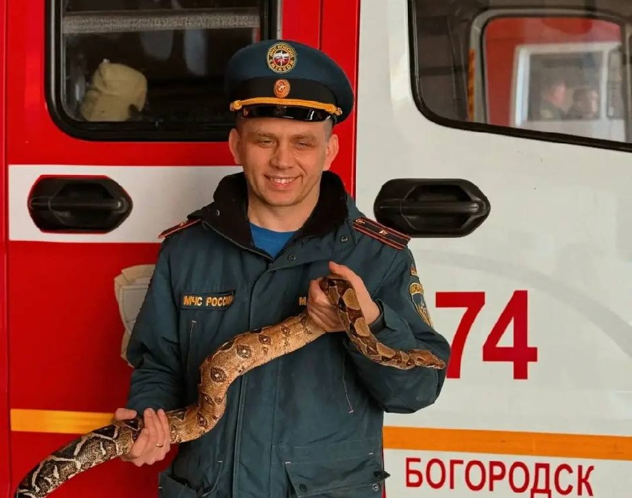 Застрявшего в ванной питона спасли сотрудники МЧС в Богородске