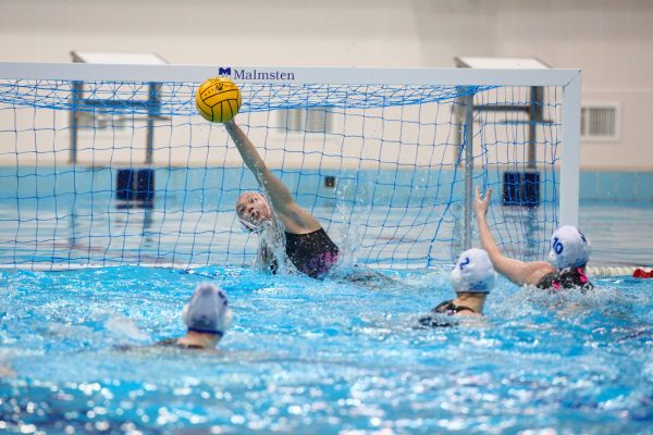 «Буревестник» и «КИНЕФ» разыграют Кубок России по водному поло среди женщин