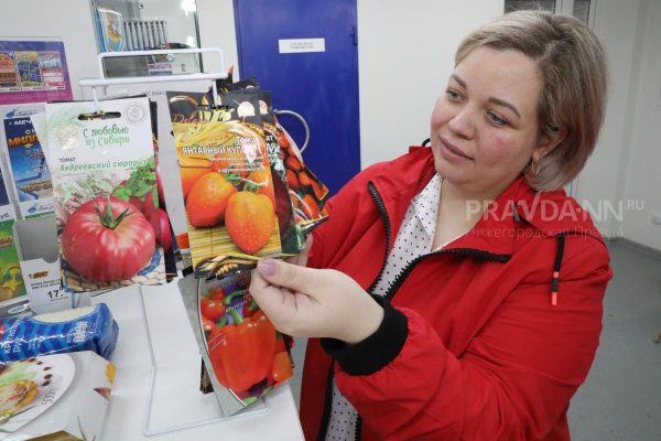 Нижегородские продавцы торговали опасными семенами