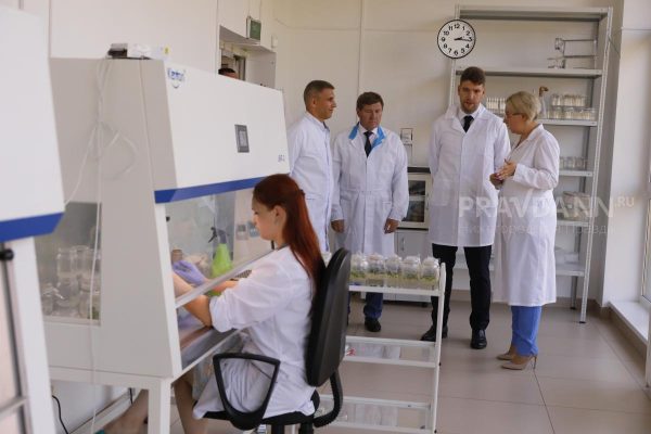 Прибыль нижегородских научных центров выросла на 22% за 2025&nbsp;год