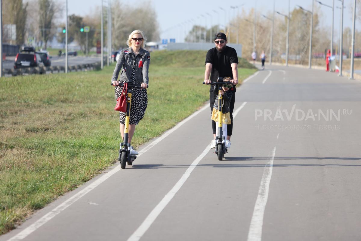Систему обучения для езды на электросамокате предложили ввести в России