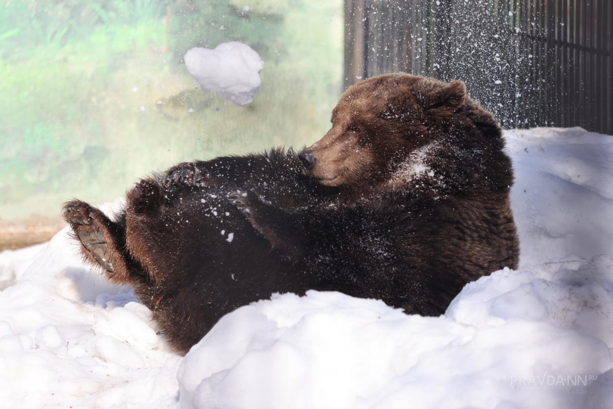 Фото: Александр Воложанин