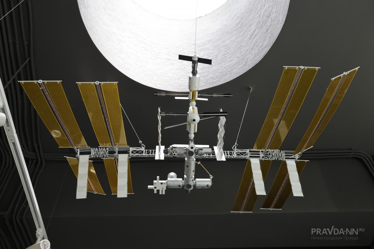 Фото: Александр Воложанин