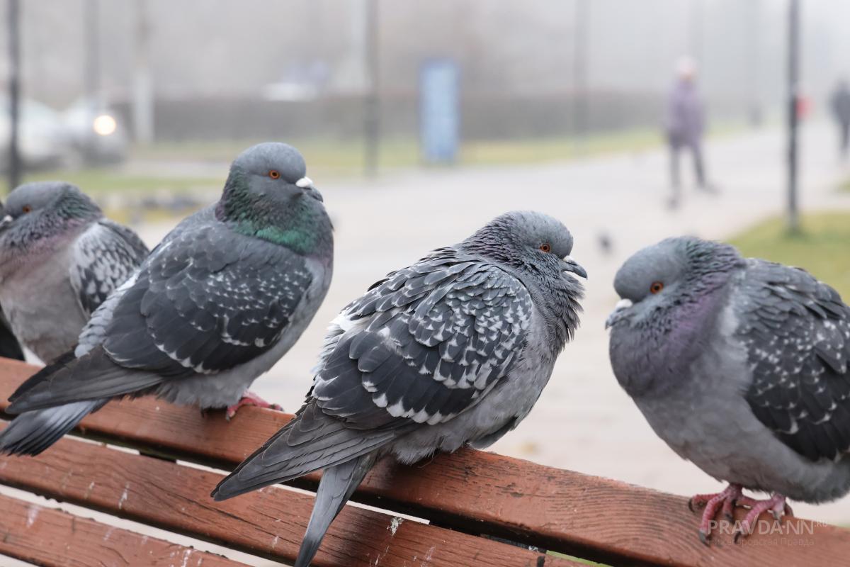Приметы на 25 марта: что можно и чего нельзя делать в этот&nbsp;день