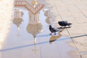 Нижегородцы встречают весну