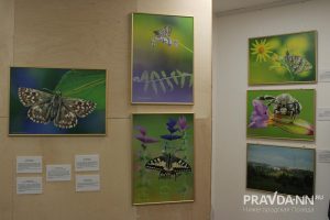 Кира Папилова