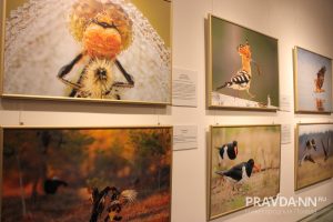 Выставка «Ангел неба» открылась в Русском музее фотографии в Нижнем Новгороде