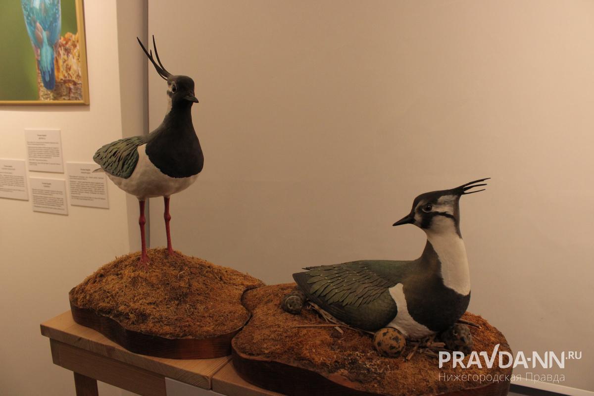 Кира Папилова