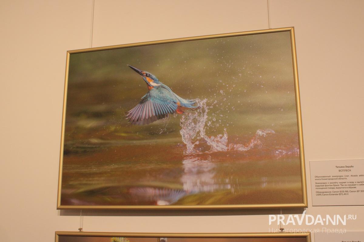 Кира Папилова