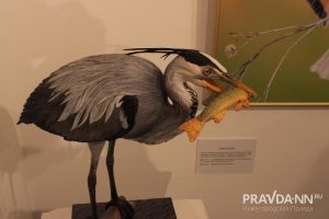 Кира Папилова