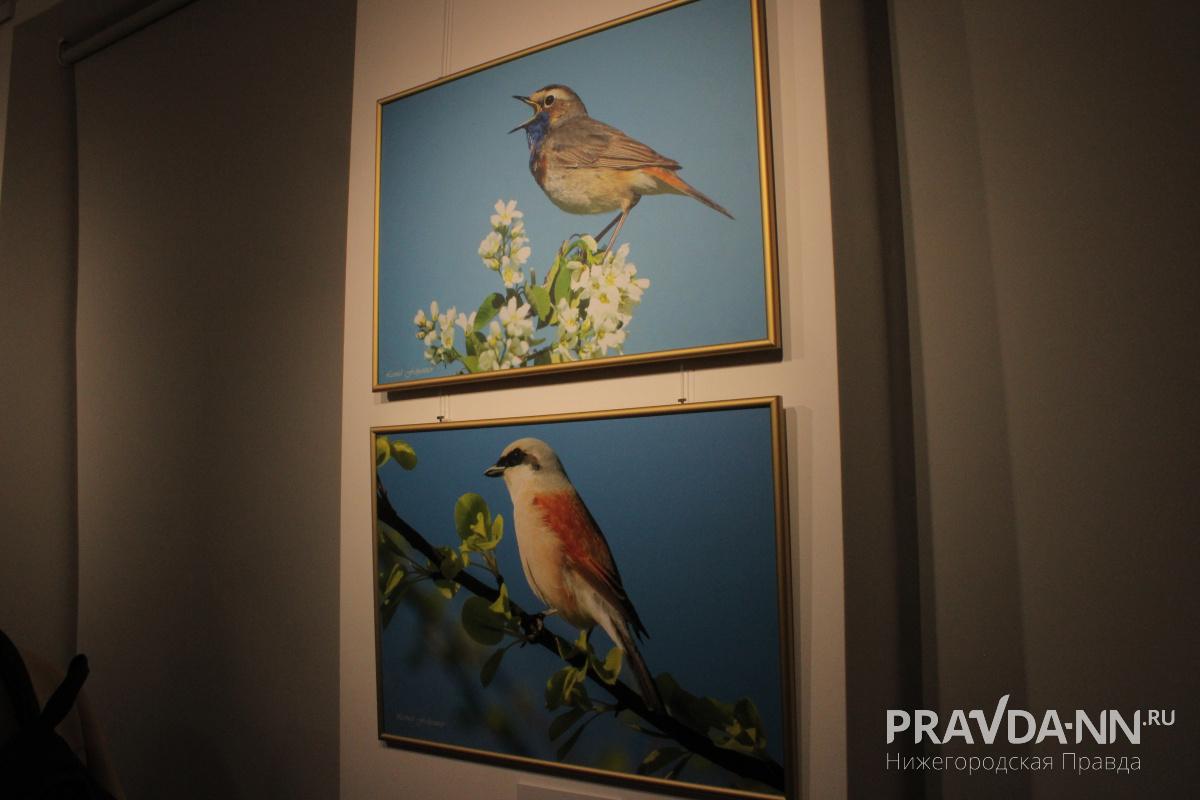 Кира Папилова