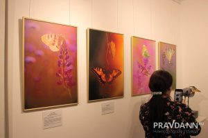 Кира Папилова