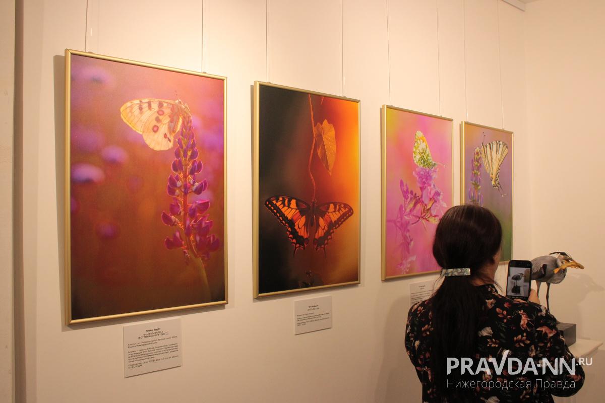 Кира Папилова