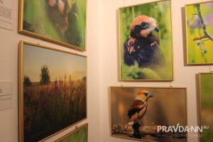 Кира Папилова