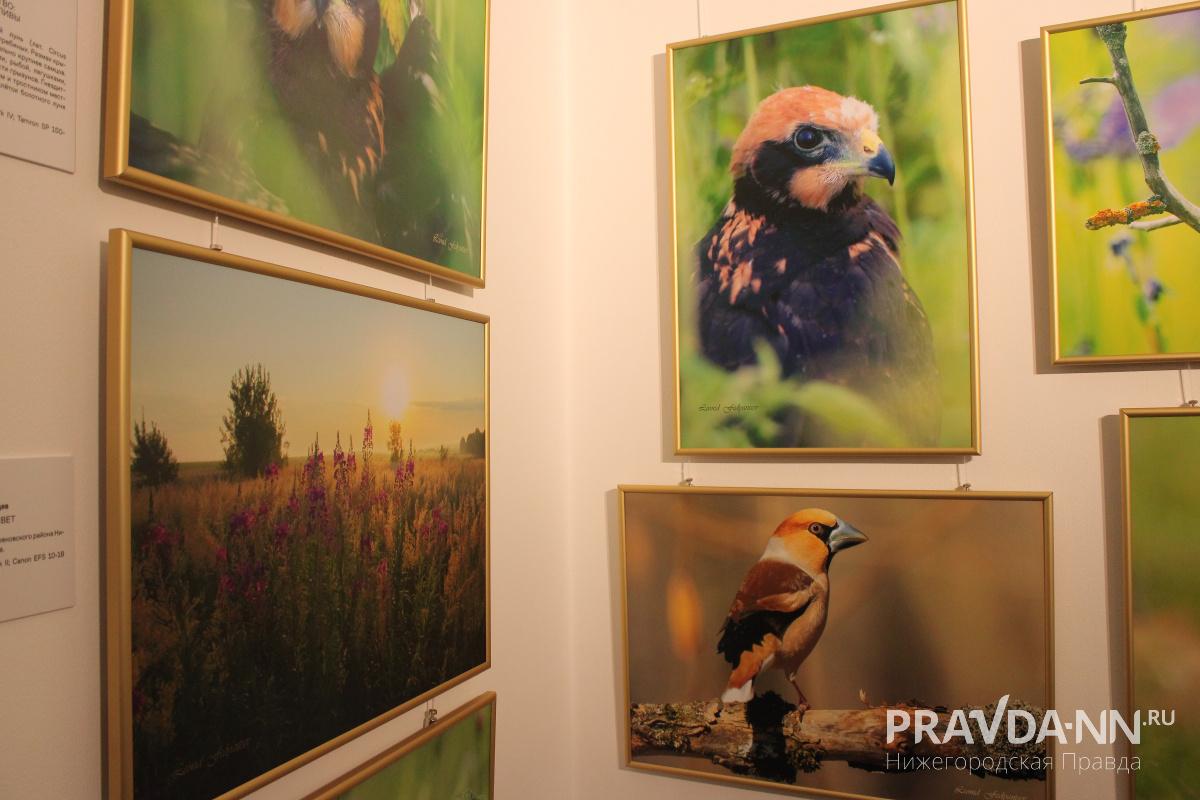 Кира Папилова