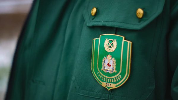 В Нижегородской области завершился зимний сезон&nbsp;охоты