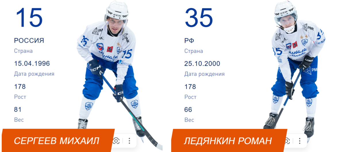 Нижегородцы Михаил Сергеев и Роман Ледянкин стали чемпионами России в&nbsp;бенди