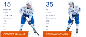 Нижегородцы Михаил Сергеев и Роман Ледянкин стали чемпионами России в&nbsp;бенди