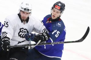 В повторном матче чемпионата МХЛ «Чайка» разгромила «Белых Медведей»