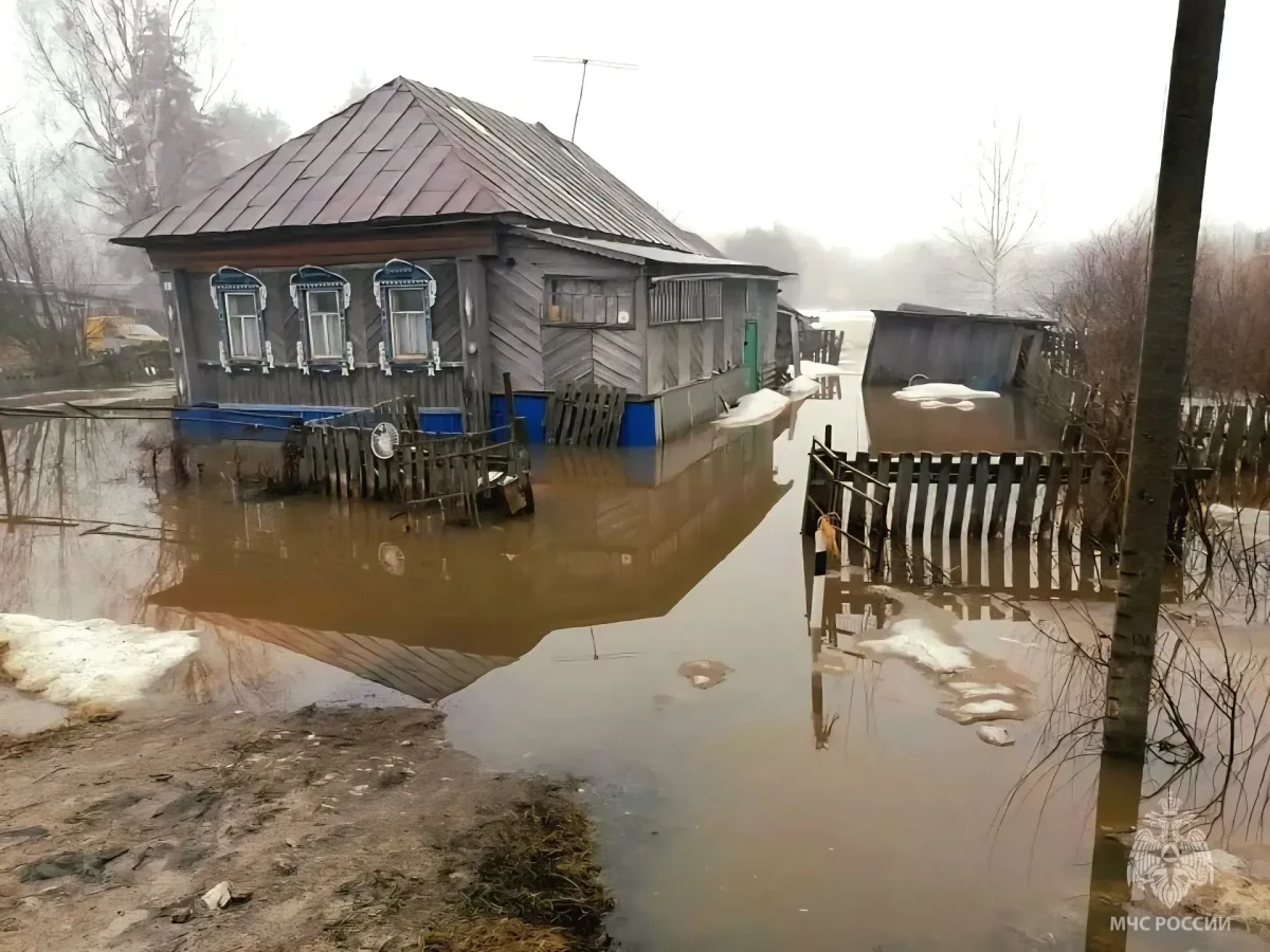 248 приусадебных и придомовых территорий затопило в Нижегородской области