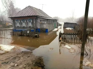 248 приусадебных и придомовых территорий затопило в Нижегородской области