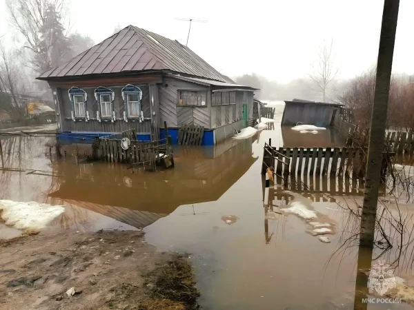 248 приусадебных и придомовых территорий затопило в Нижегородской области