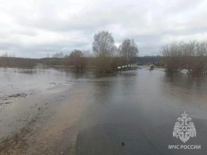97 приусадебных участков остаются затопленными в Нижегородской области