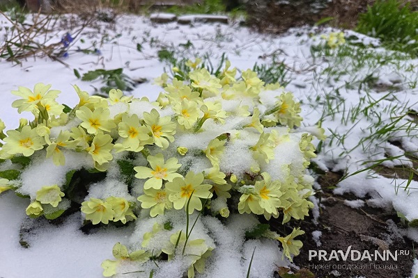 Нижний Новгород накрыло снегом в апреле