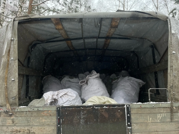 В нижегородских лесах ликвидируют 31 свалку